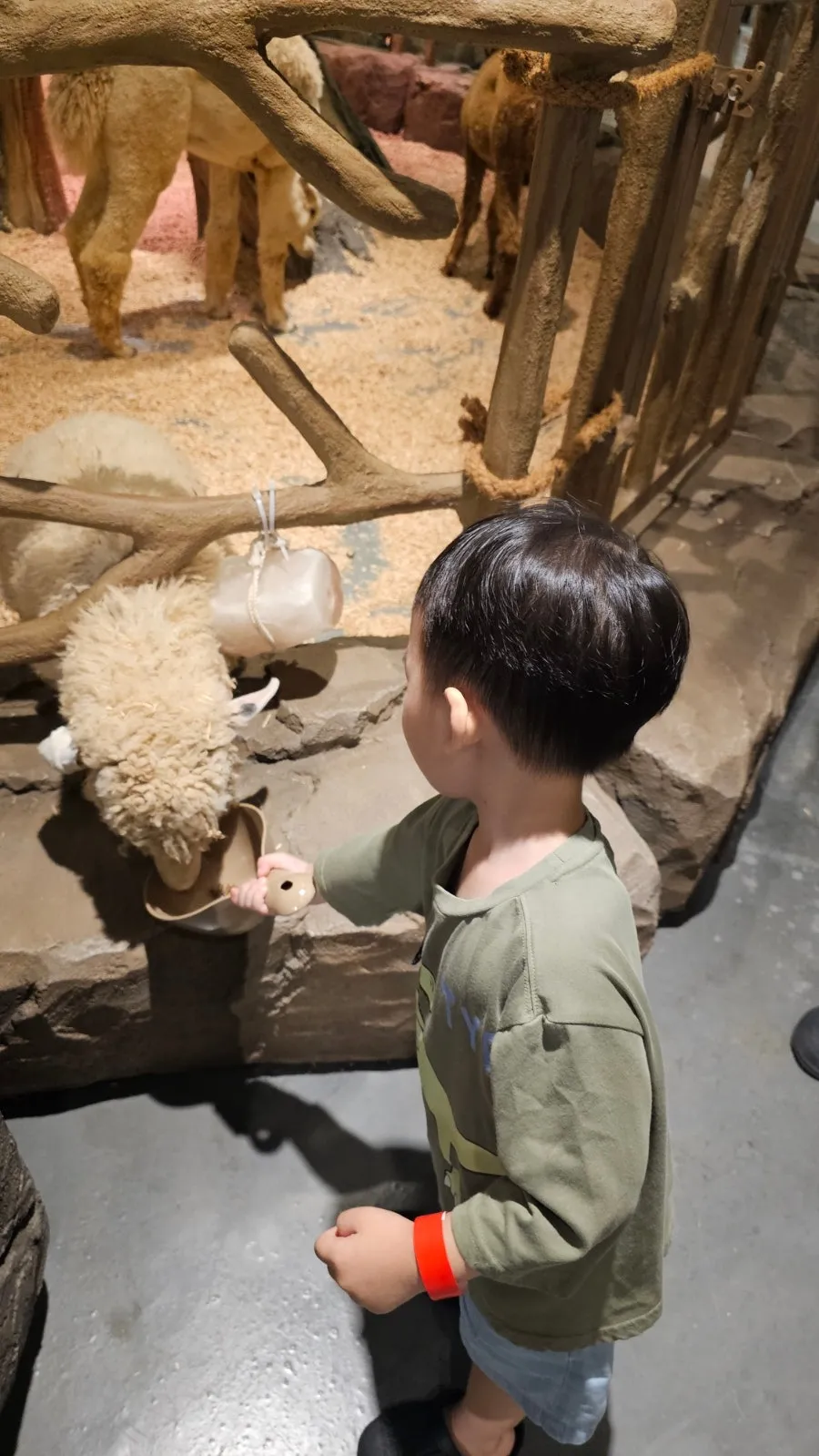 ジュジュピングワールド 写真 9