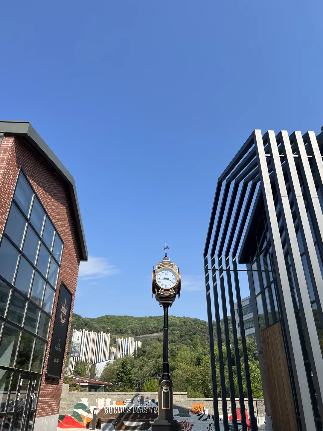 비디788 사진 18