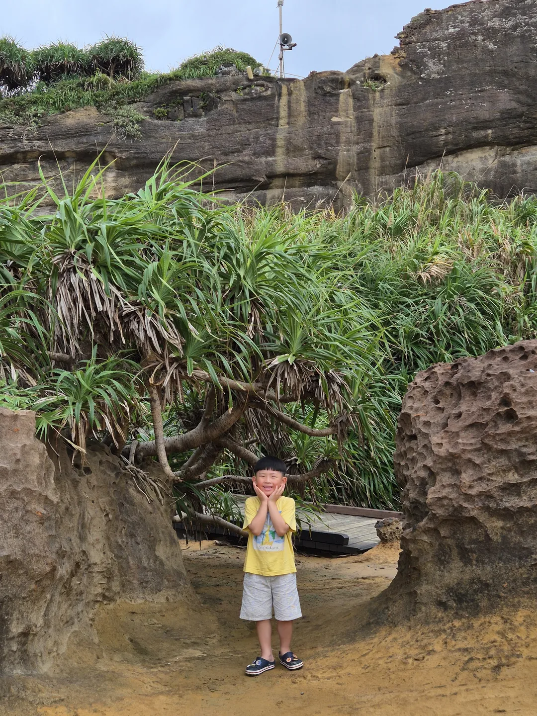 台湾 野柳地質公園 写真 8