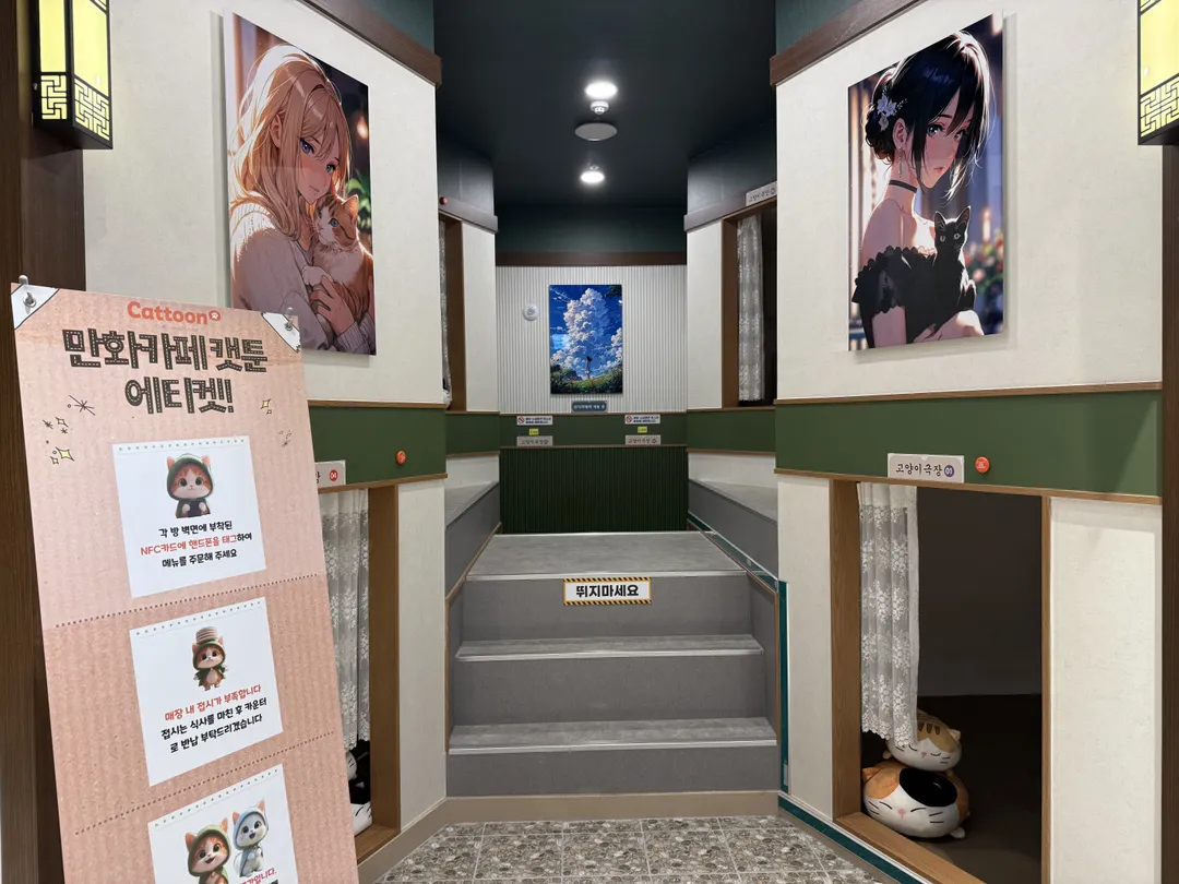 Cattoon Sinchon Branch photo 6