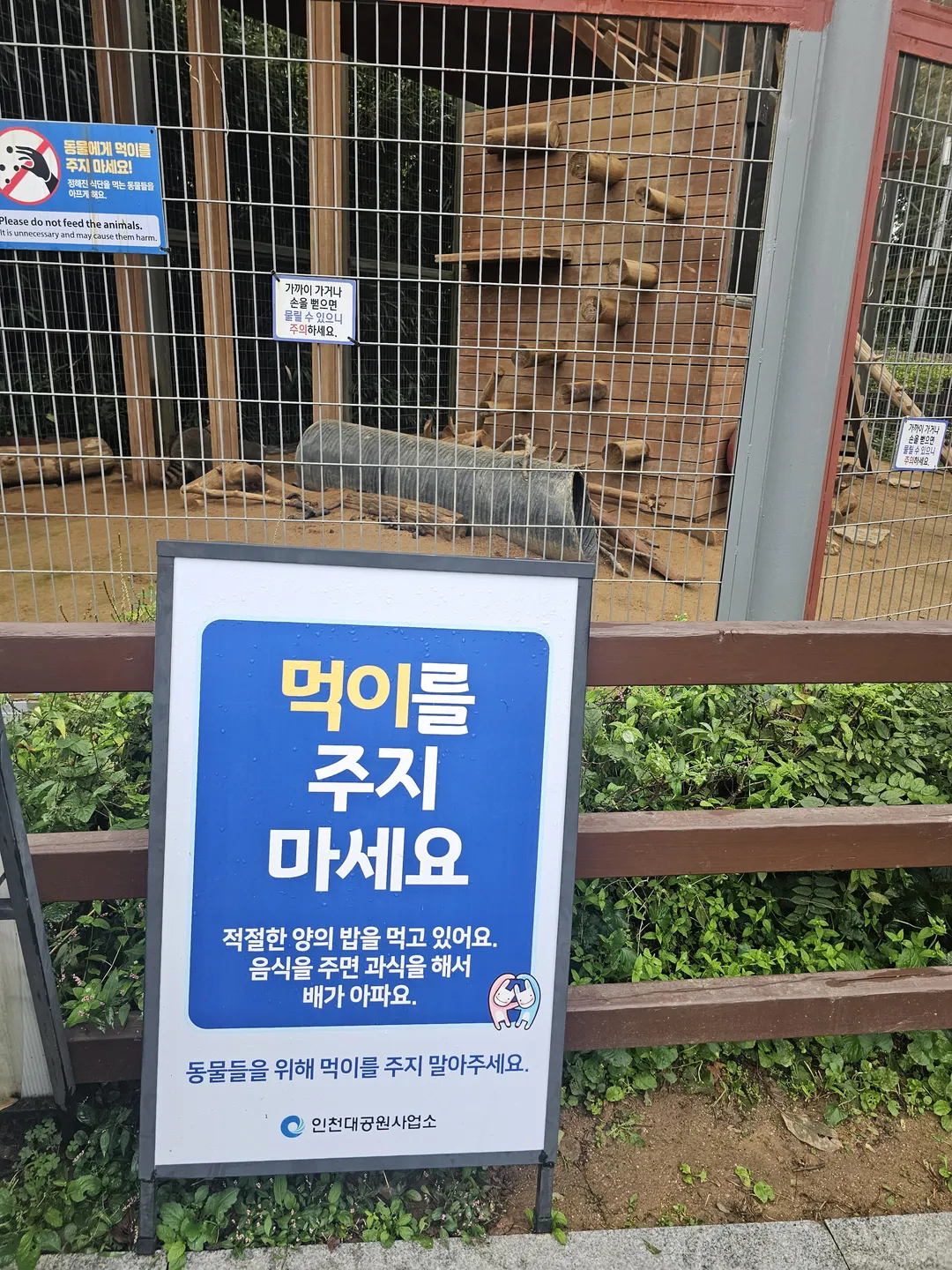 인천대공원 어린이동물원 사진 10