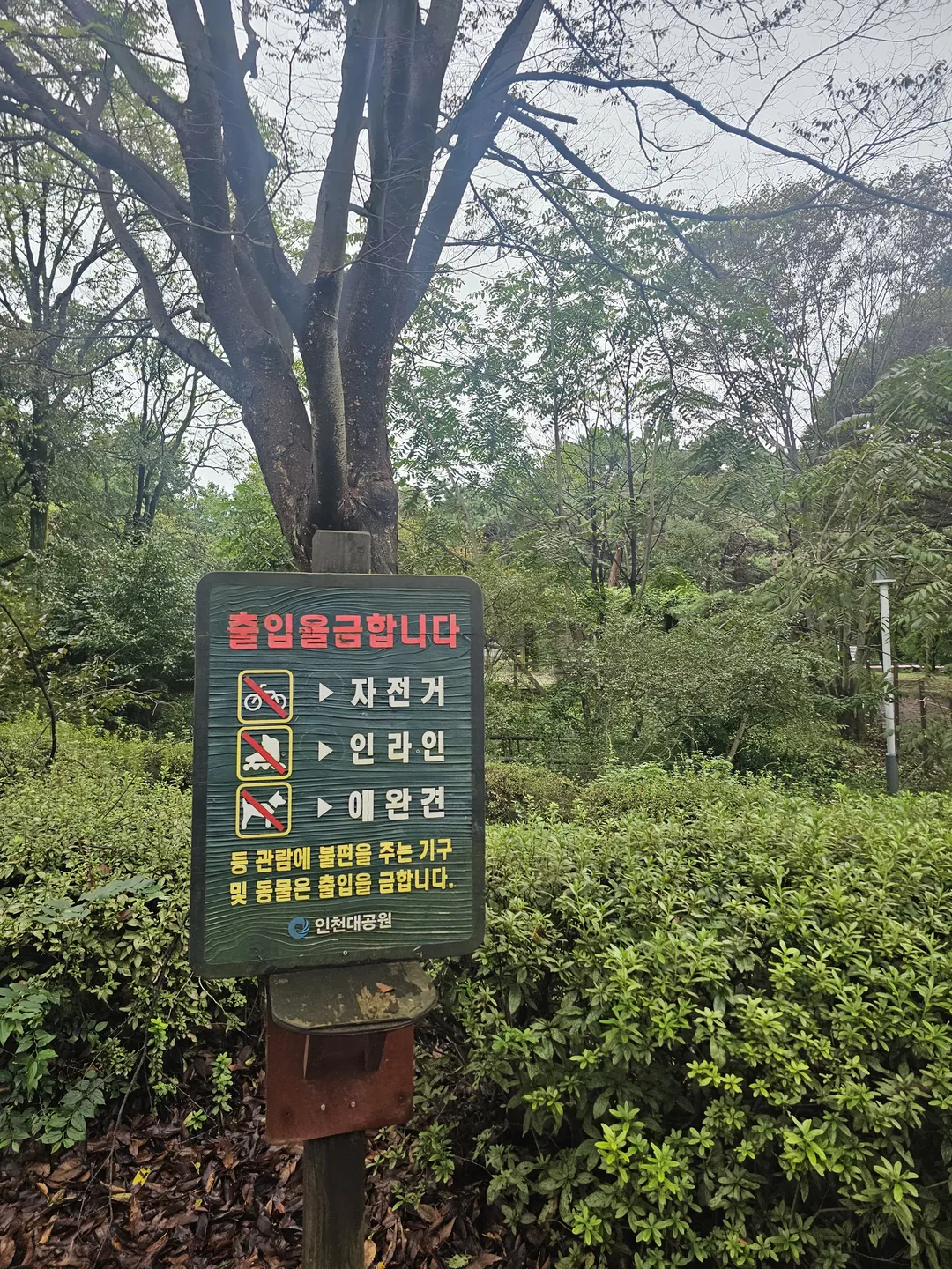 인천대공원 어린이동물원 사진 18