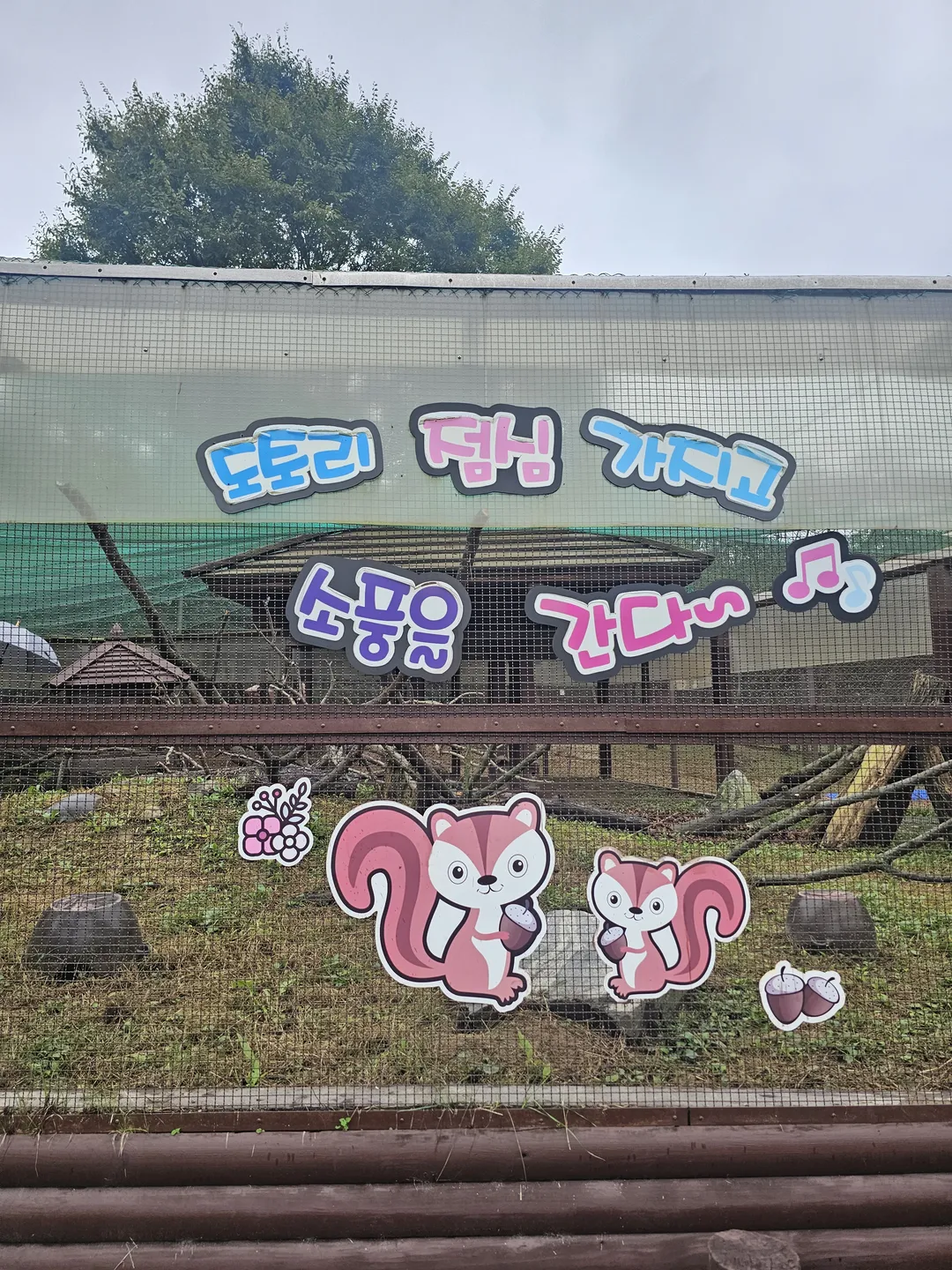 인천대공원 어린이동물원 사진 8