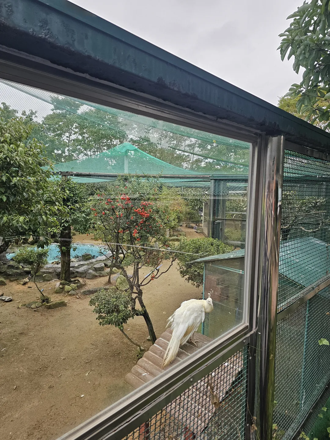 인천대공원 어린이동물원 사진 11
