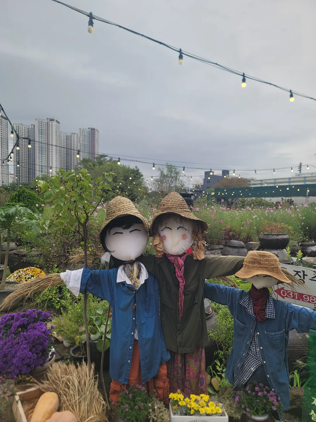 장수상회 사진 12