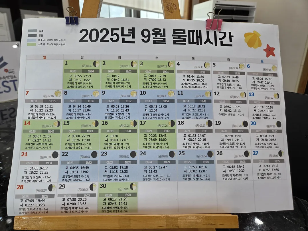 신두리해수욕장 사진 15