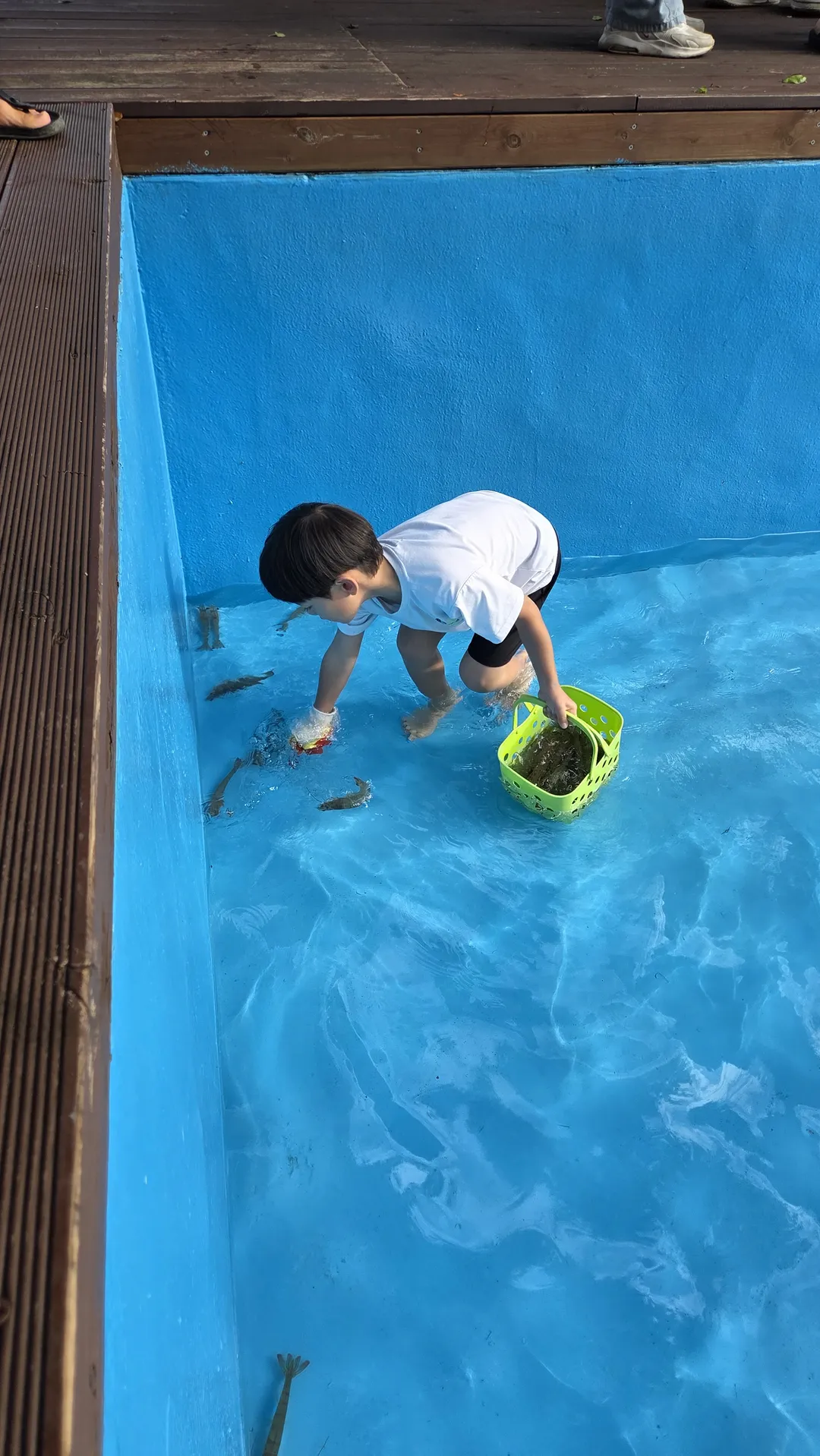 용봉산캠핑장