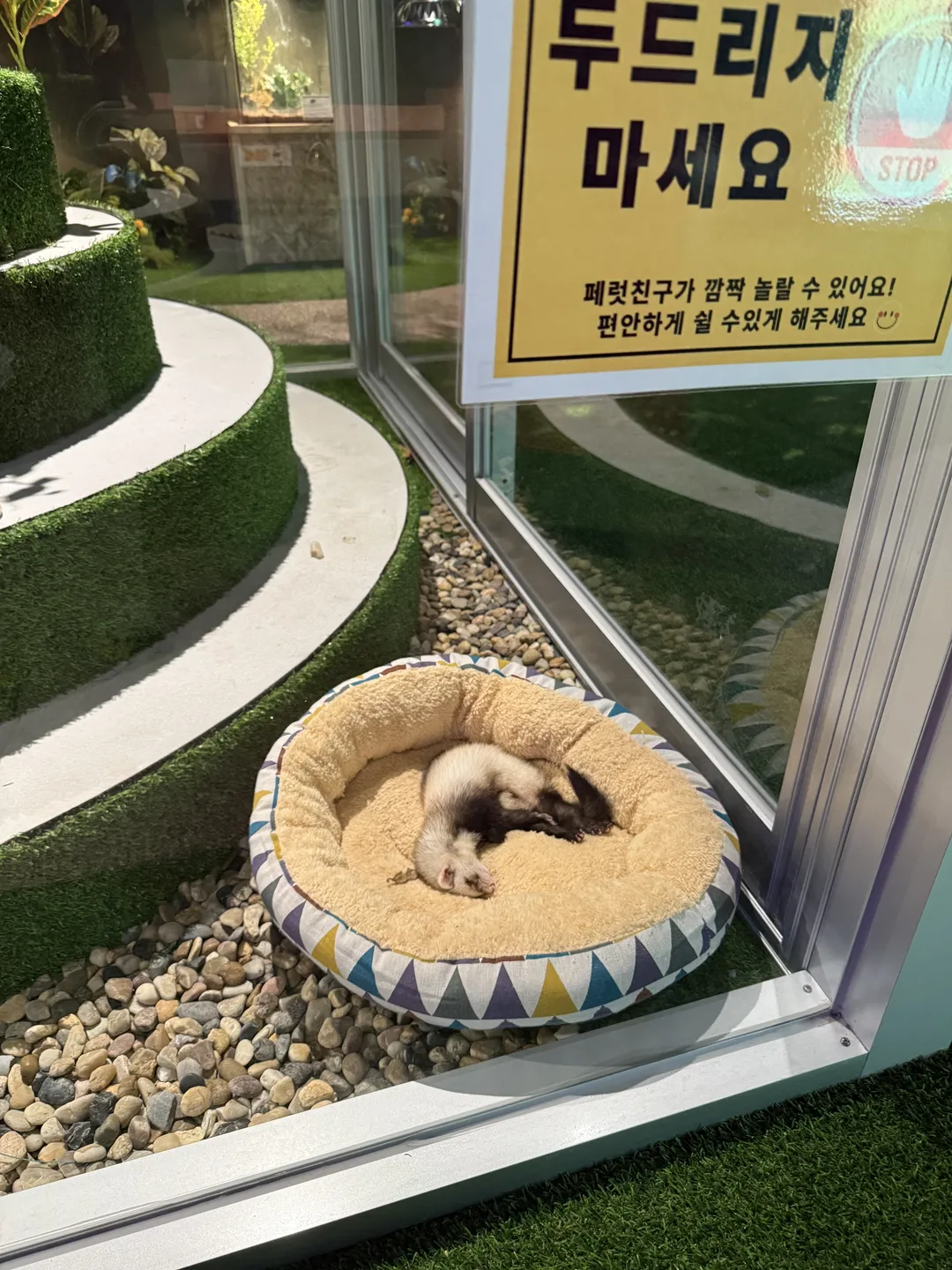 와일드벅스 곤충탐험대 사진 24