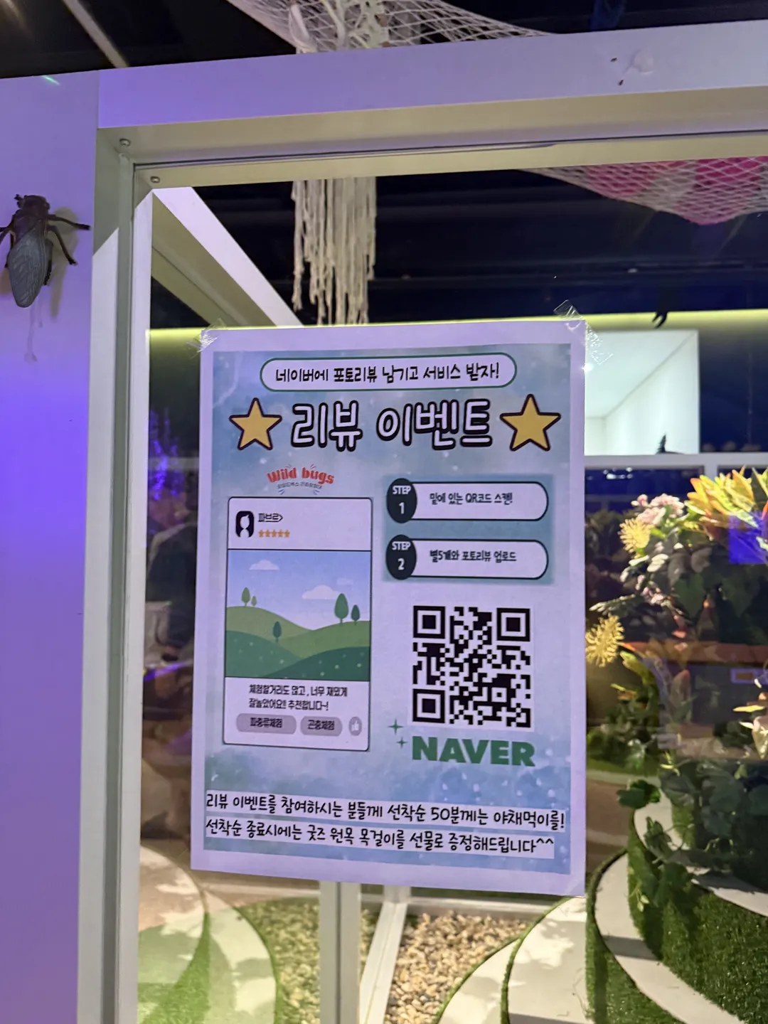 와일드벅스 곤충탐험대 사진 81