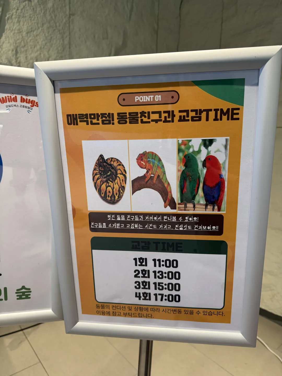 와일드벅스 곤충탐험대 사진 9