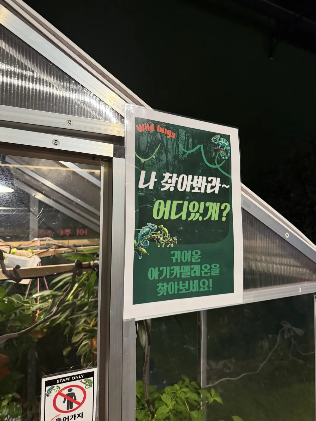 와일드벅스 곤충탐험대 사진 37