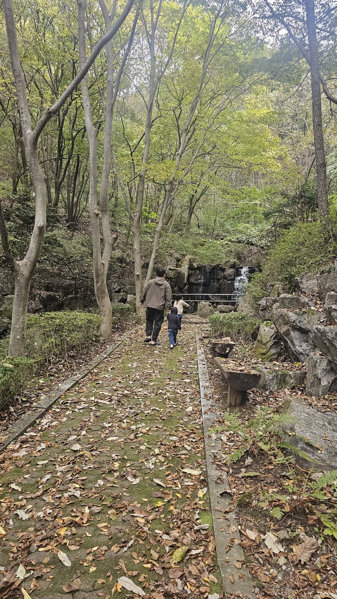 비발디 포레스트