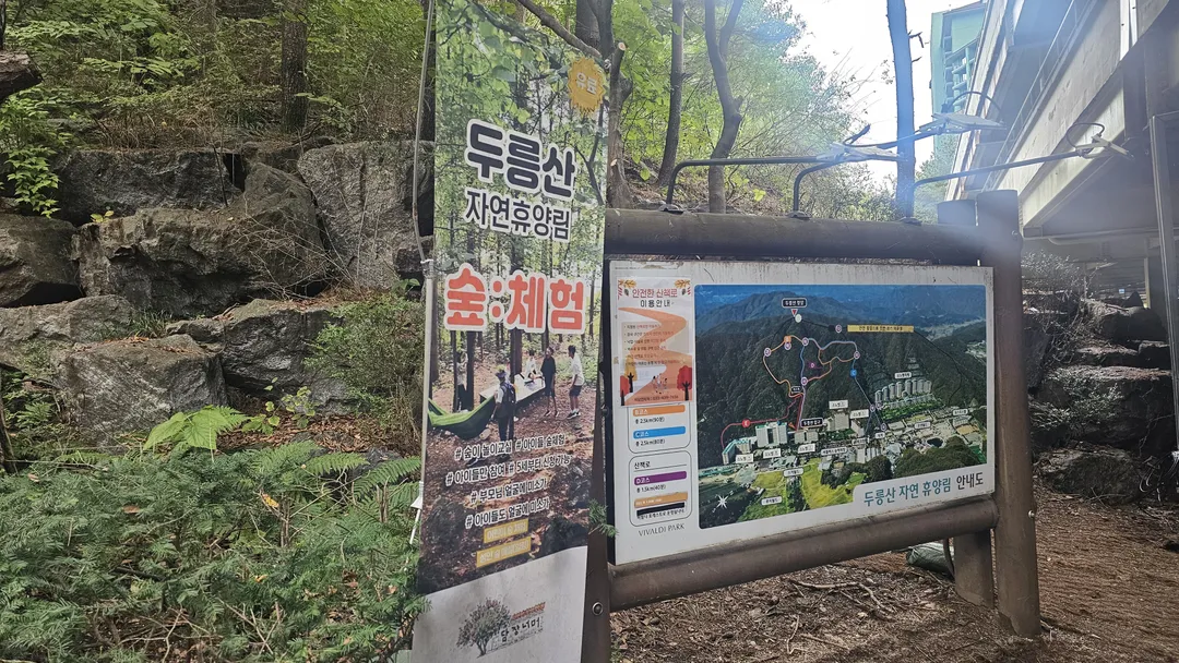 비발디 포레스트 사진 7