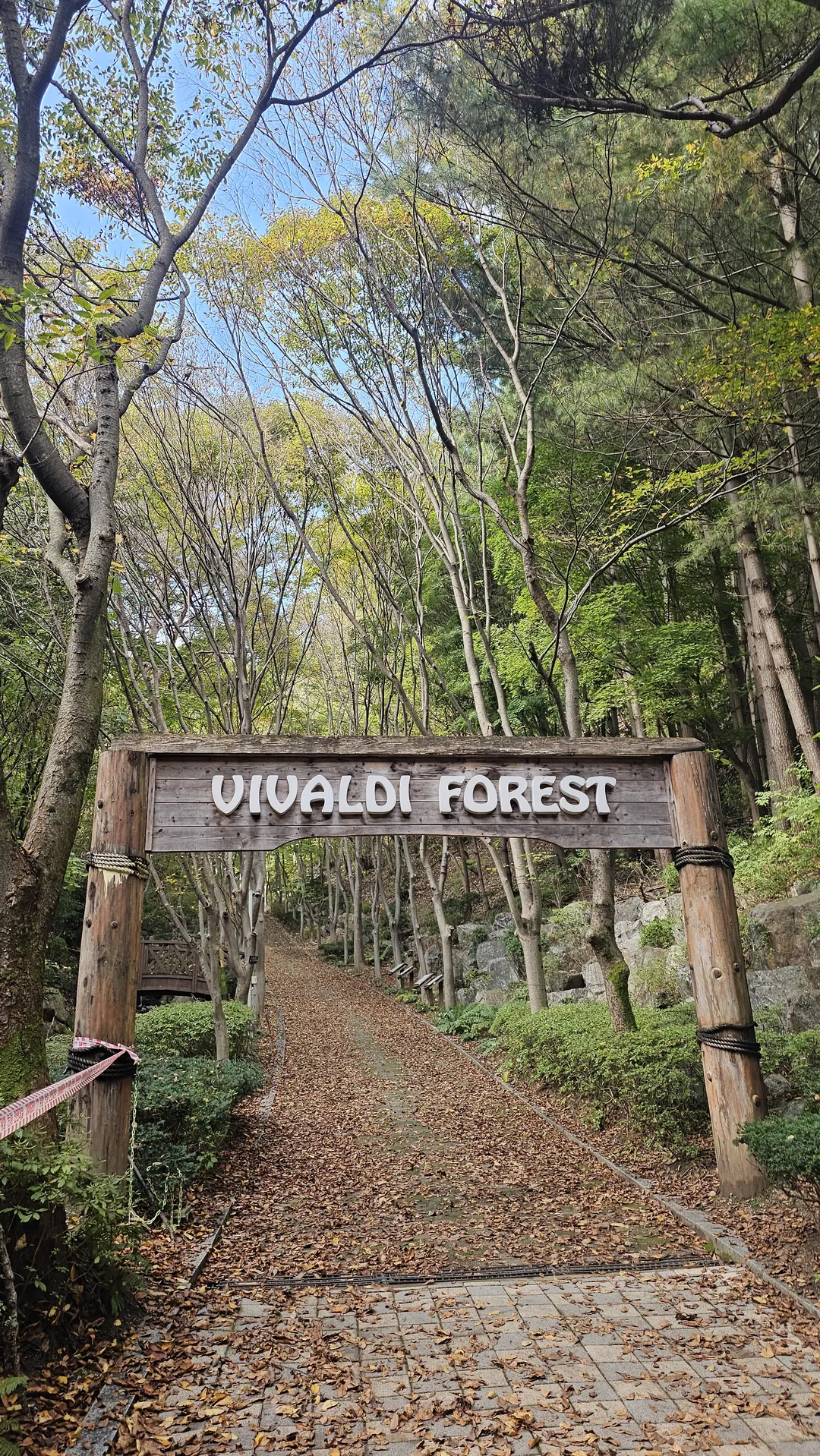 비발디 포레스트