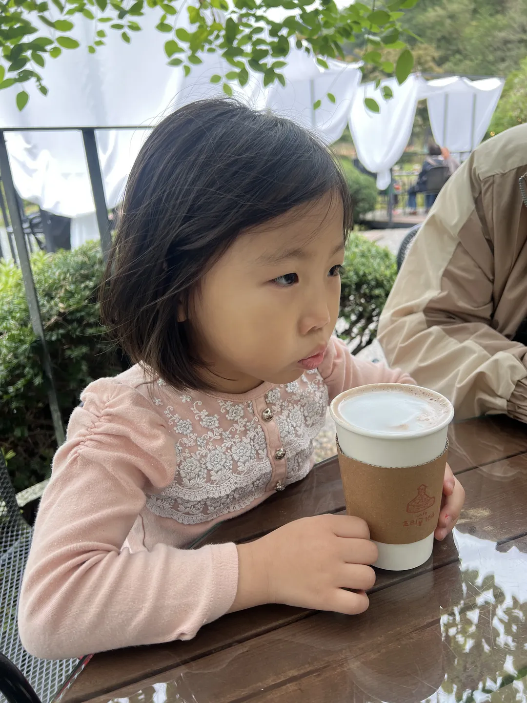 Chorigol 164 photo 9