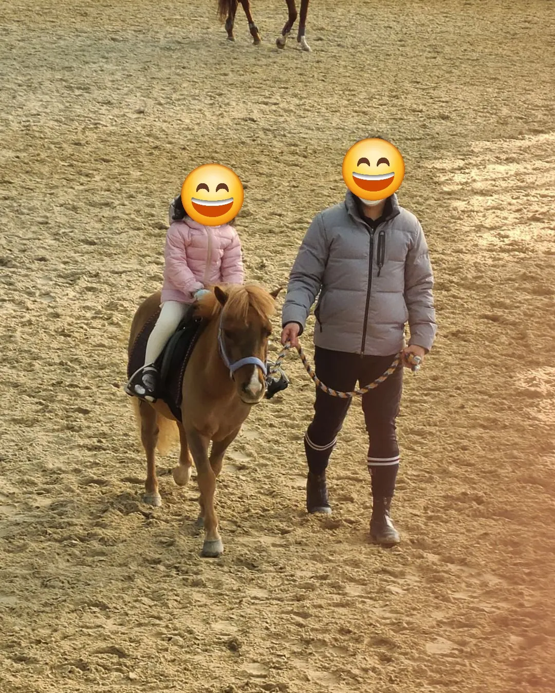 분당승마클럽 사진 9