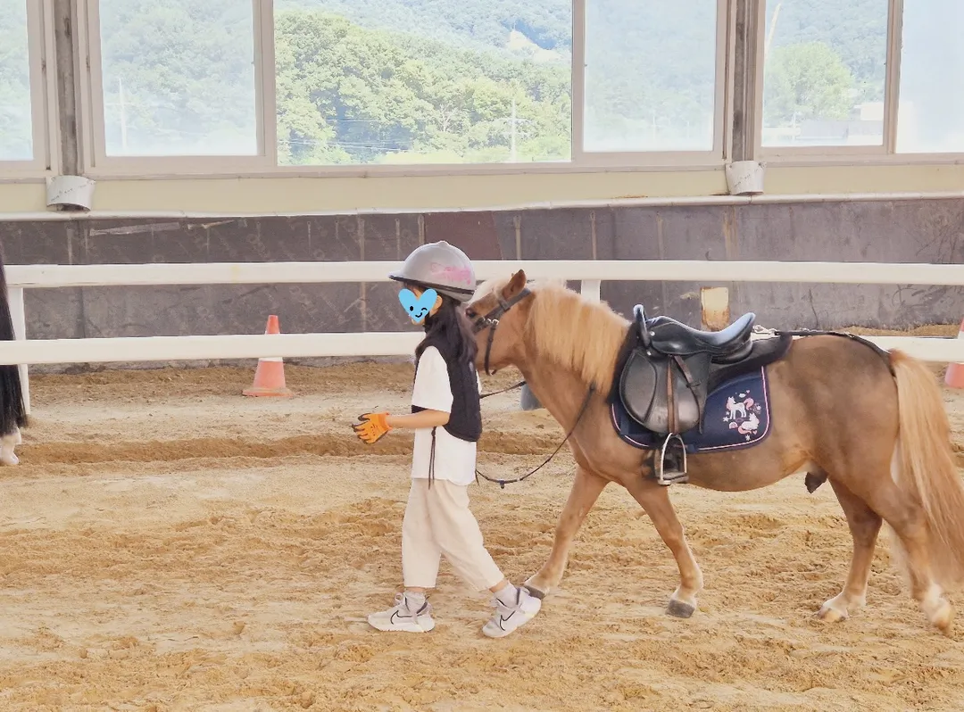 분당승마클럽 사진 11