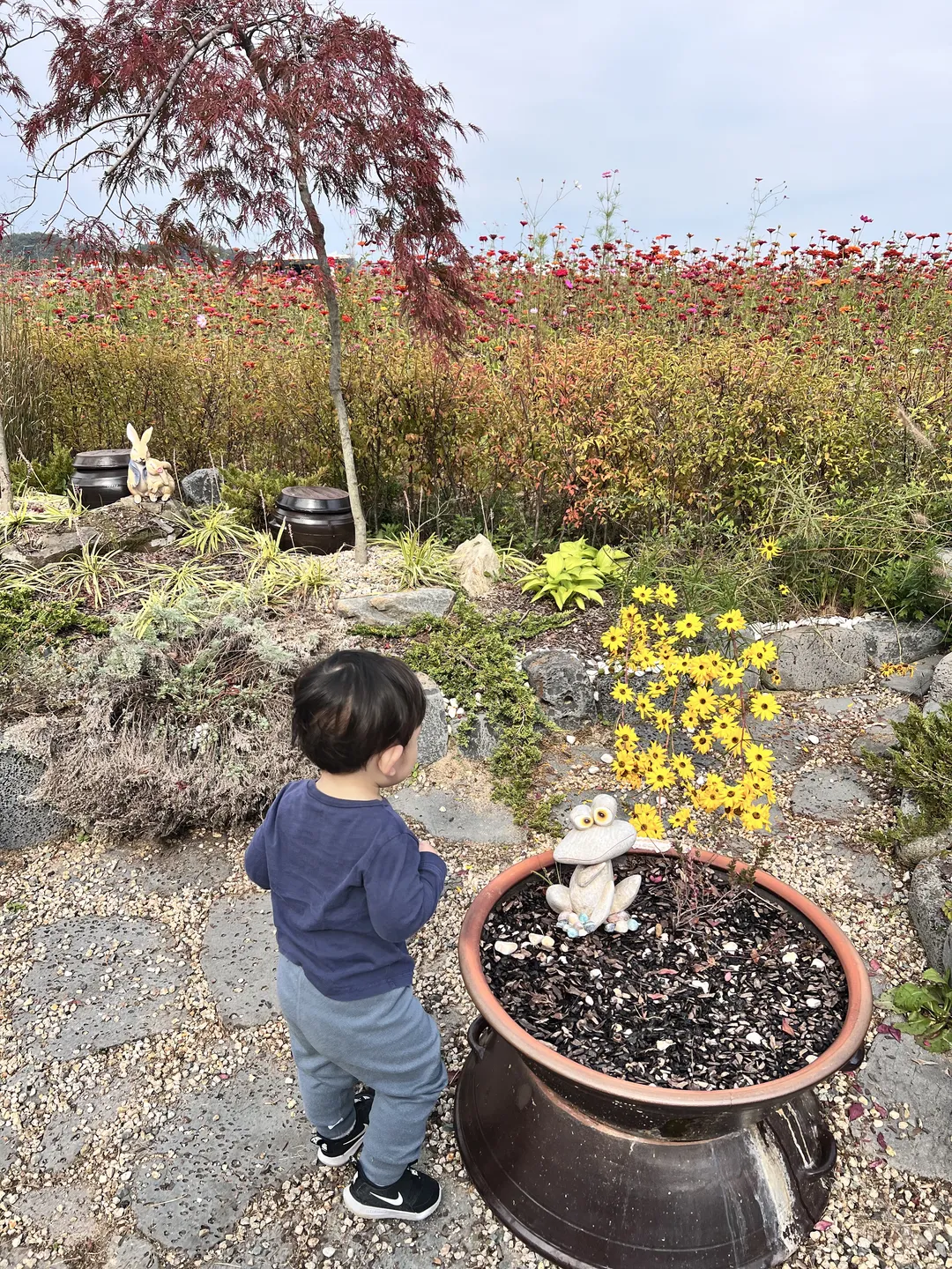 충주아쿠아리움 사진 32