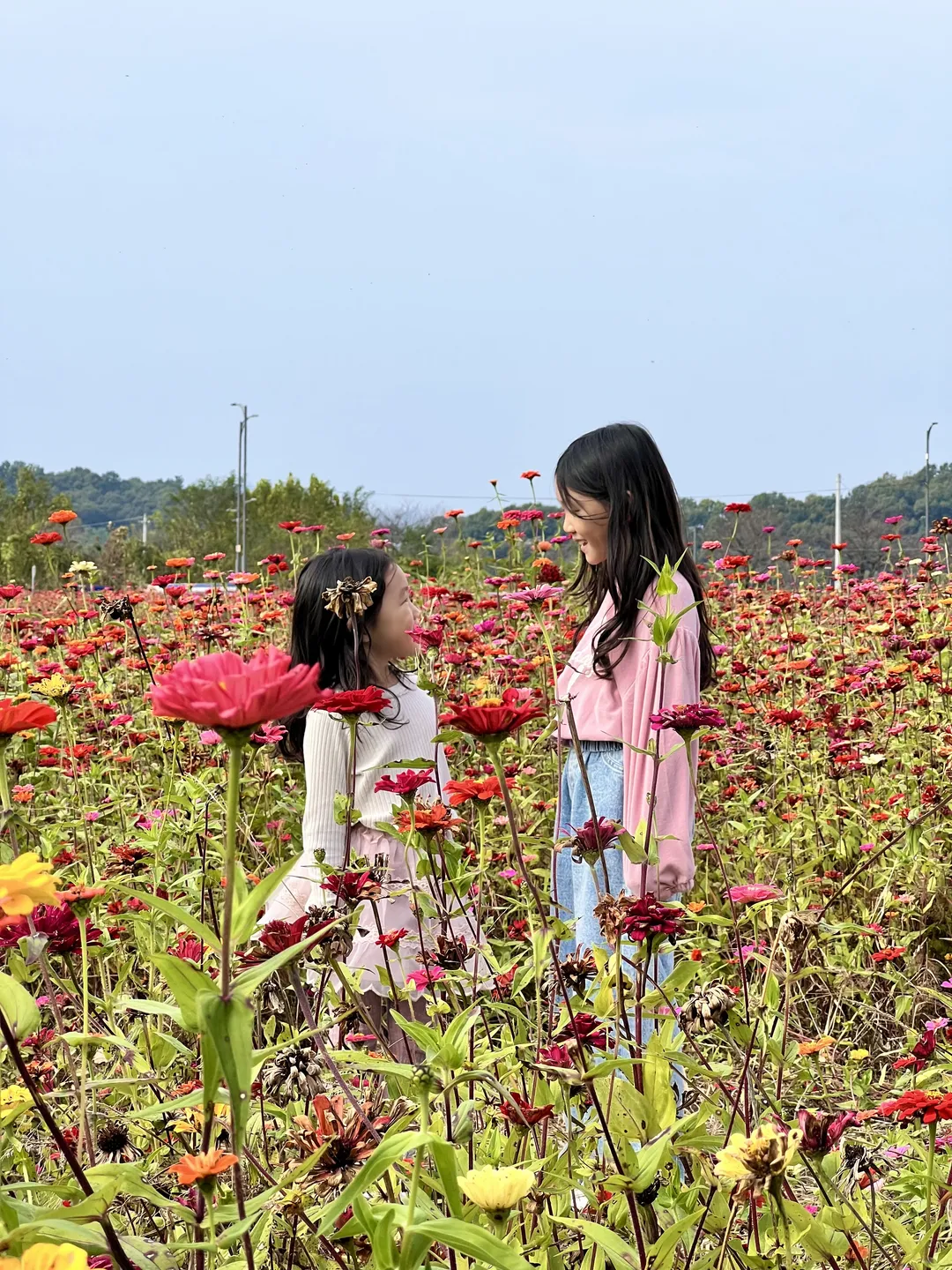 충주아쿠아리움 사진 31
