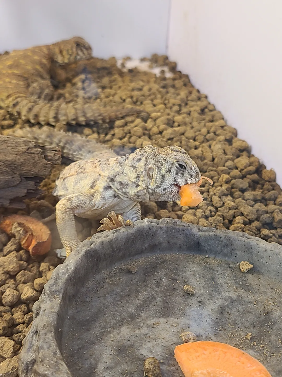 マルロンハウス 写真 23
