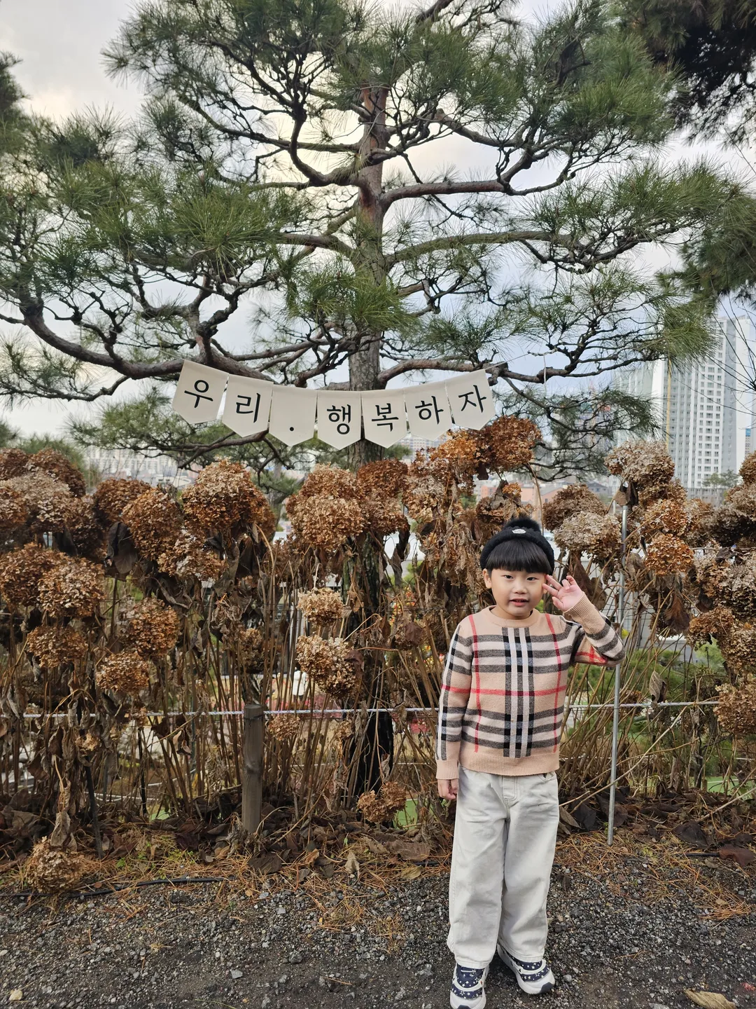 베이커리카페 공간 사진 33