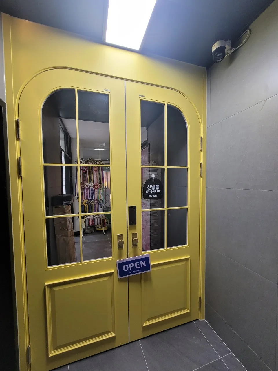 고양이카페 왔냥 사진 35