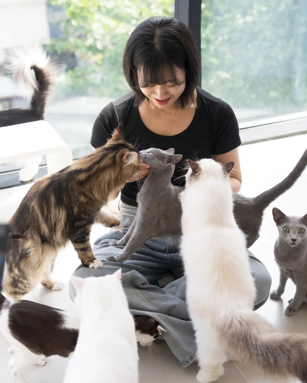 고양이카페 왔냥 사진 25