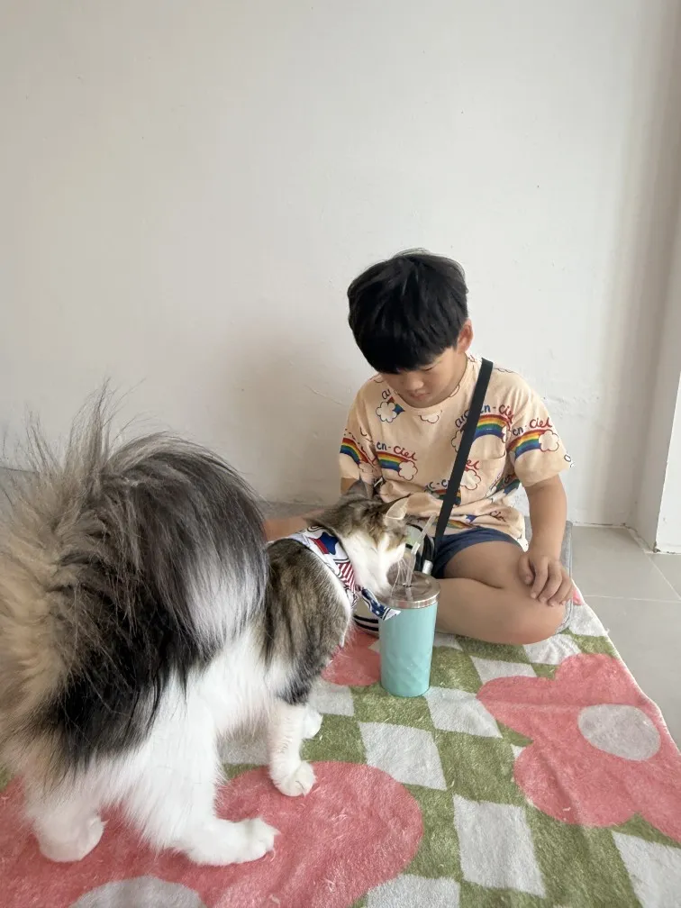 고양이카페 왔냥 사진 10