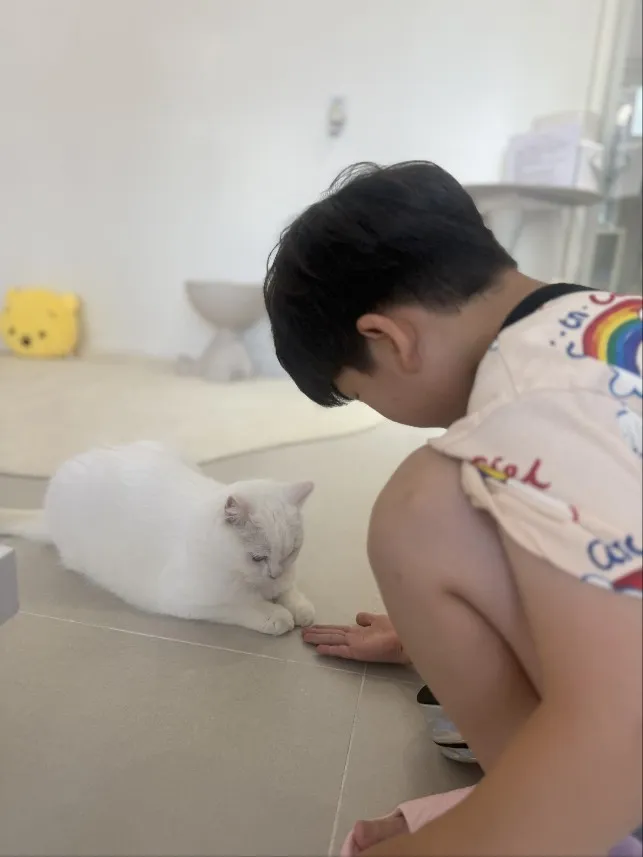 고양이카페 왔냥 사진 14