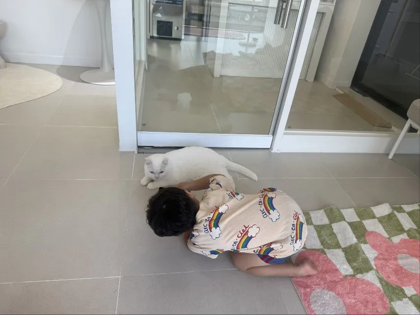 고양이카페 왔냥 사진 13