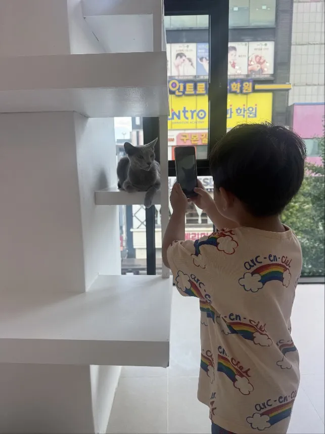 고양이카페 왔냥 사진 12