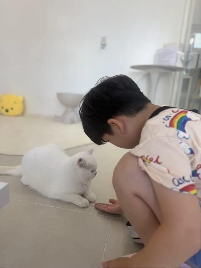 고양이카페 왔냥 사진 15