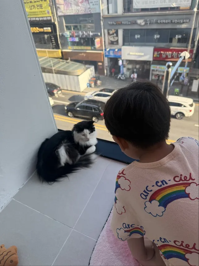 고양이카페 왔냥 사진 6