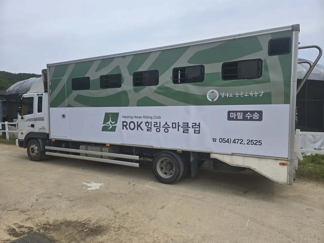 구미ROK힐링승마클럽 사진 8