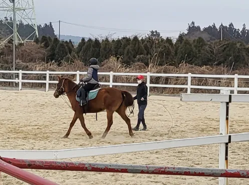 산도스카발리오홀스파크