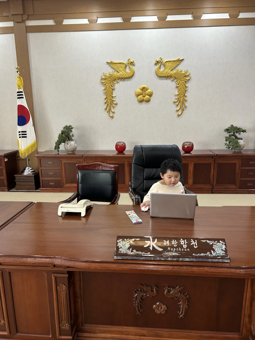 합천정원테마파크 청와대세트장 사진 6