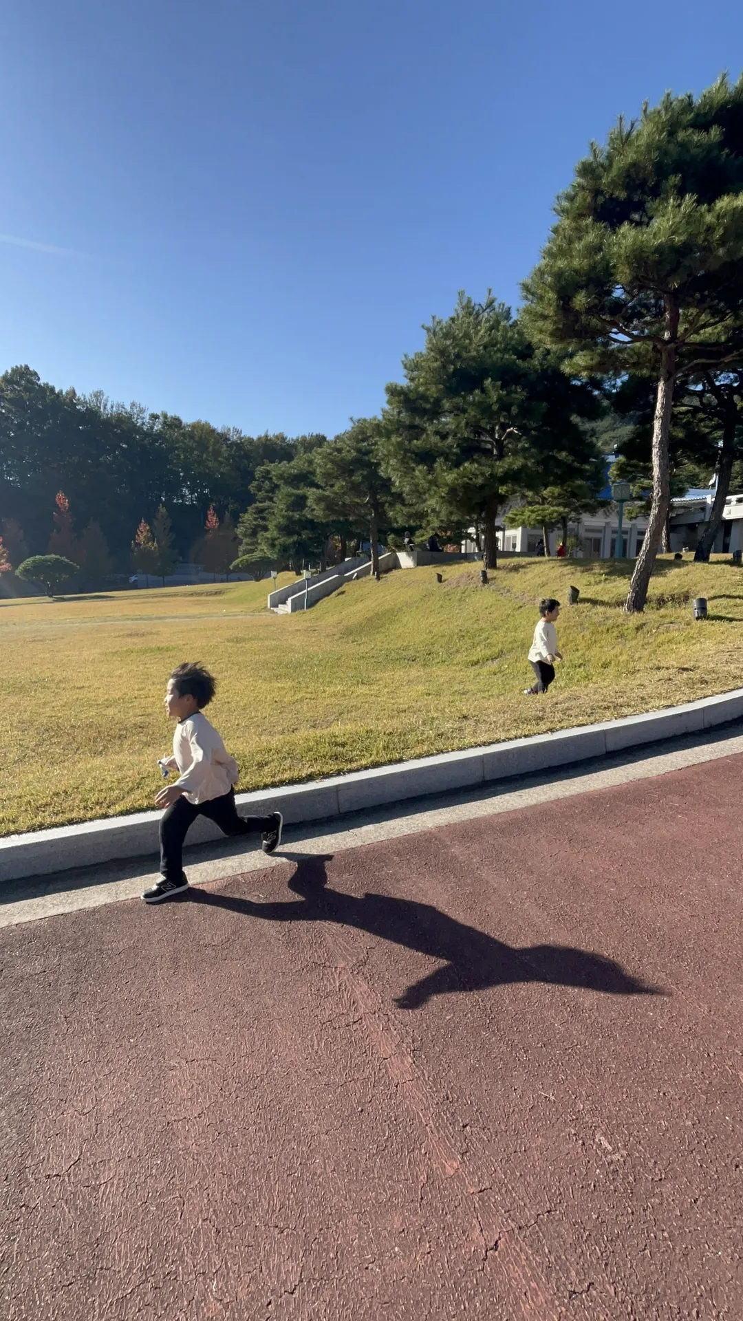 합천정원테마파크 청와대세트장 사진 20