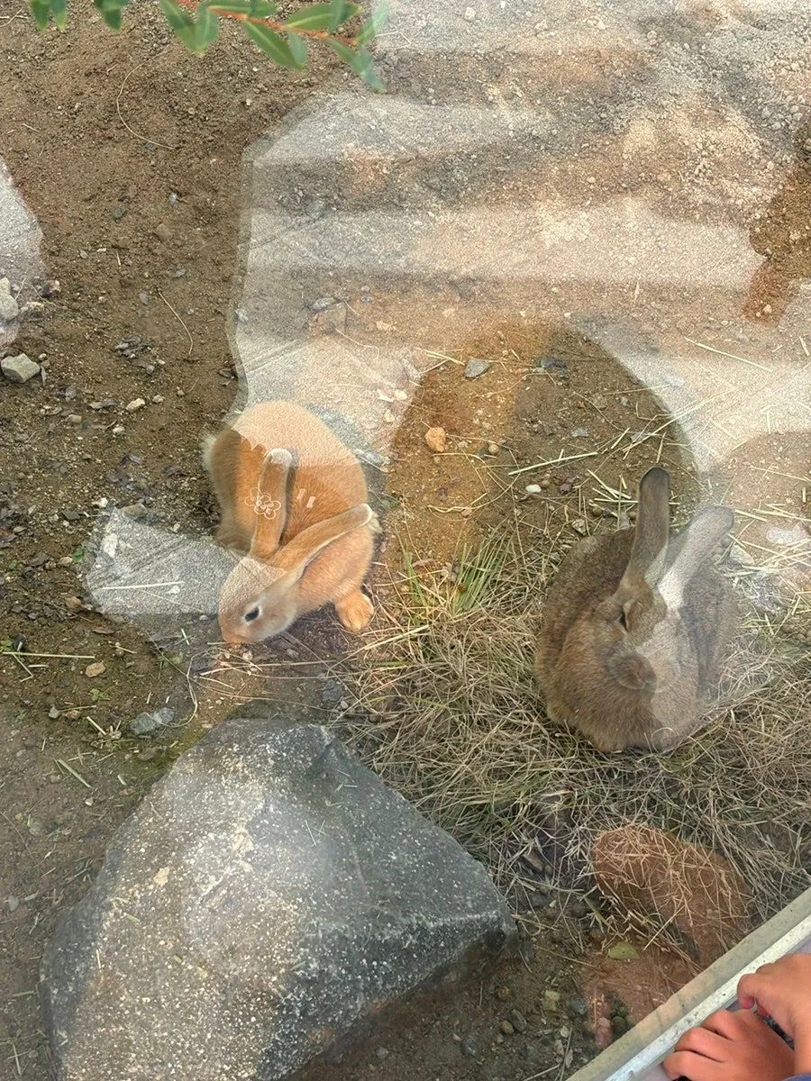 충주아쿠아리움 사진 26