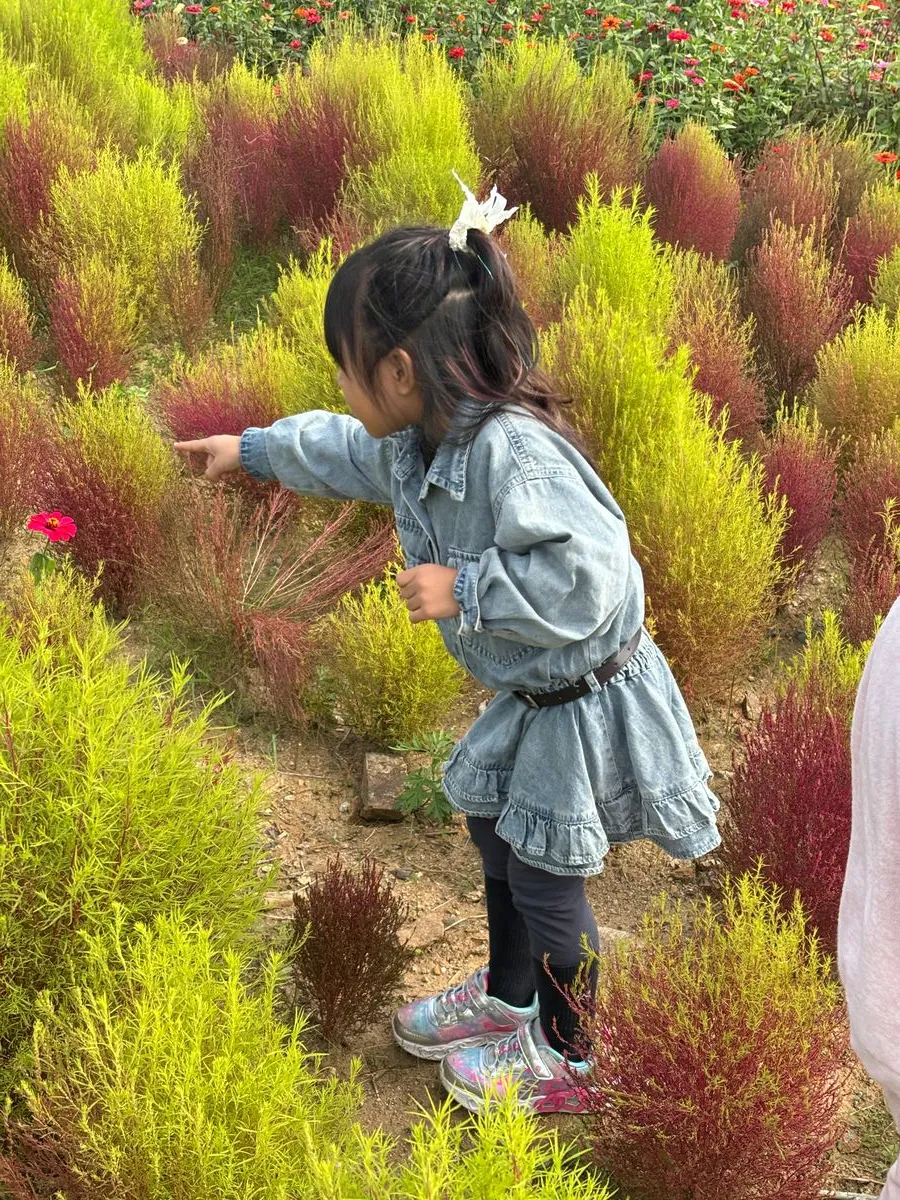 충주아쿠아리움 사진 34