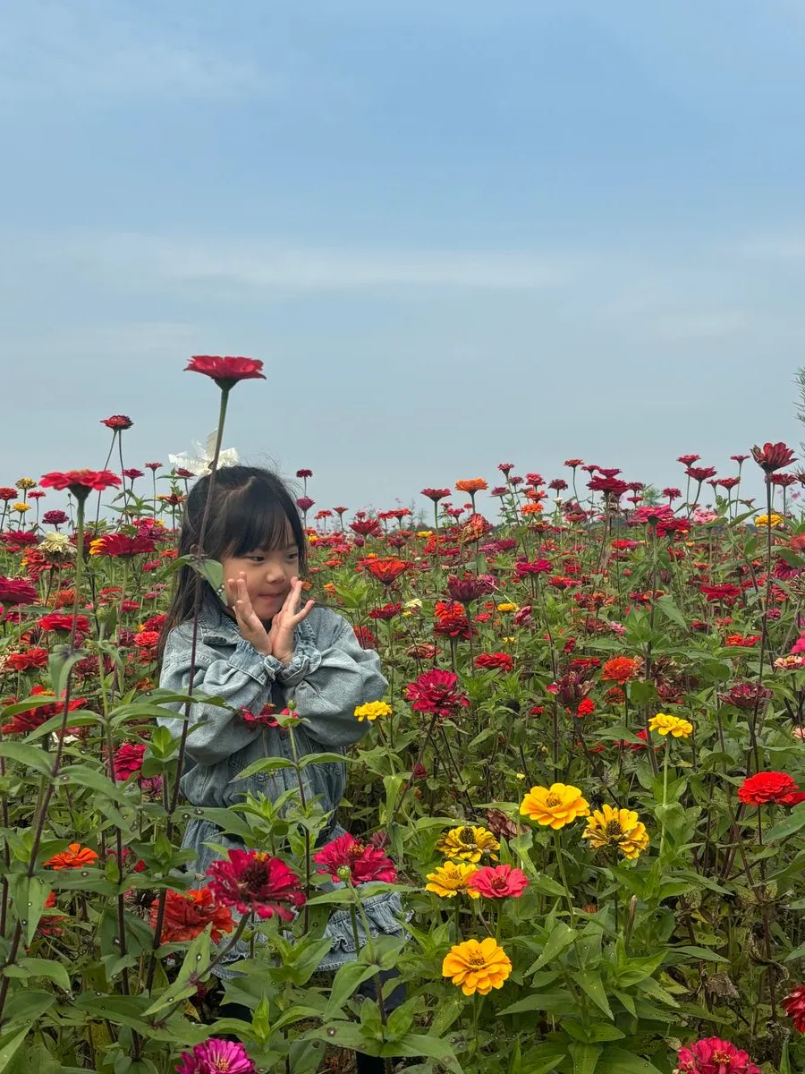 충주아쿠아리움 사진 33