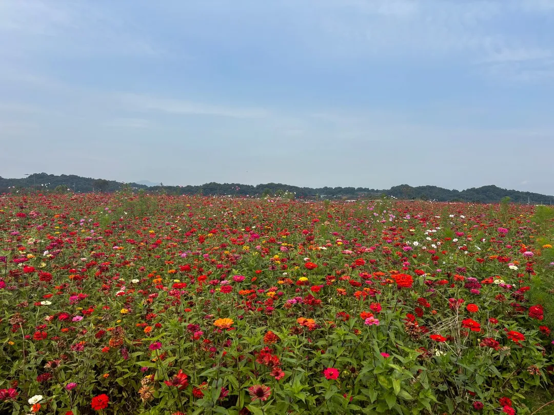 충주아쿠아리움 사진 30