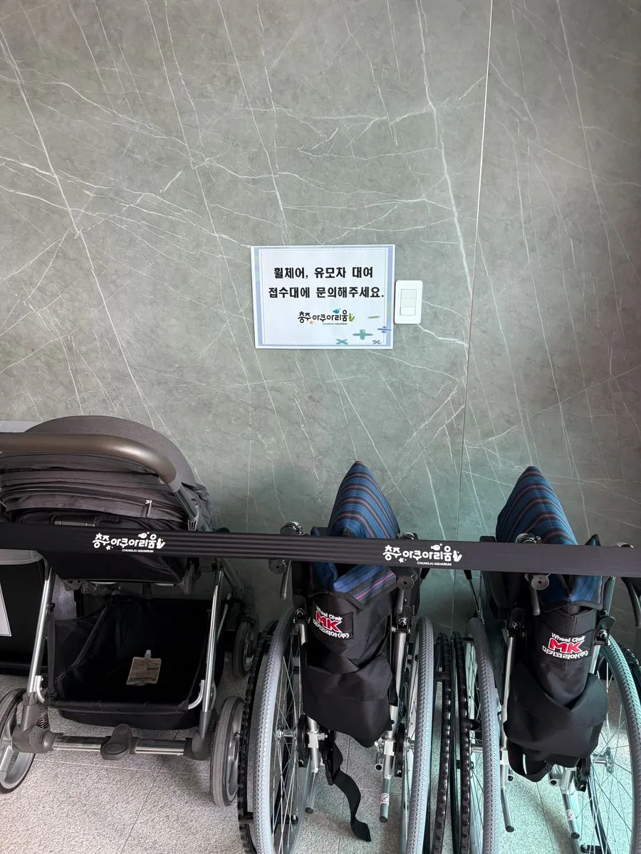 충주아쿠아리움 사진 38