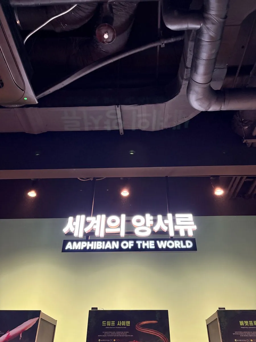 충주아쿠아리움 사진 42