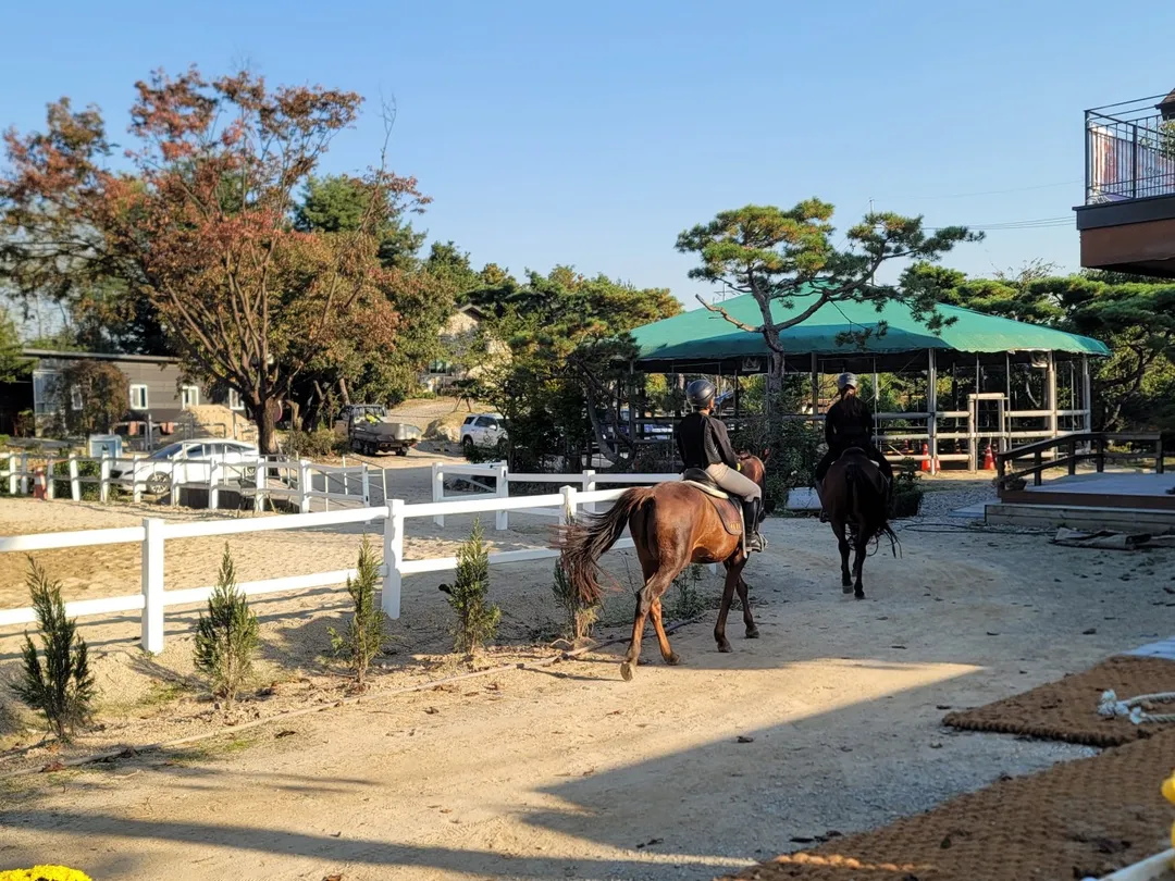 청초원승마장 사진 8