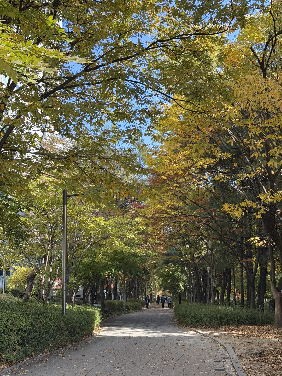 박지성어린이공원 사진 15