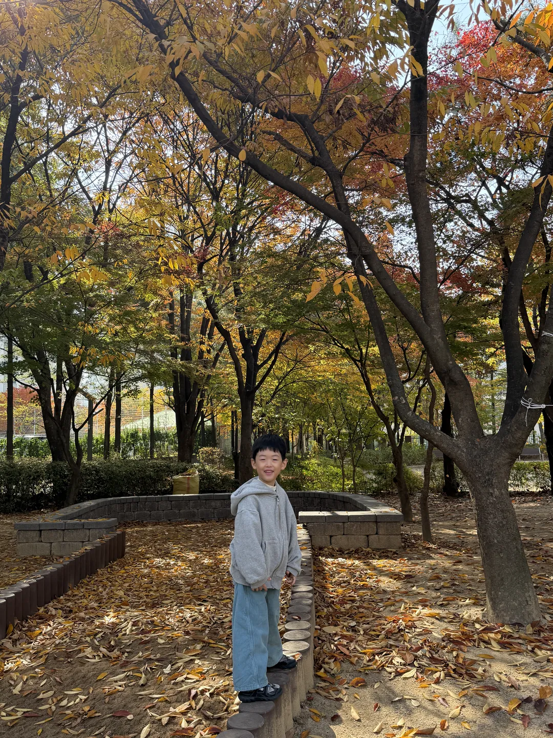 박지성어린이공원 사진 6