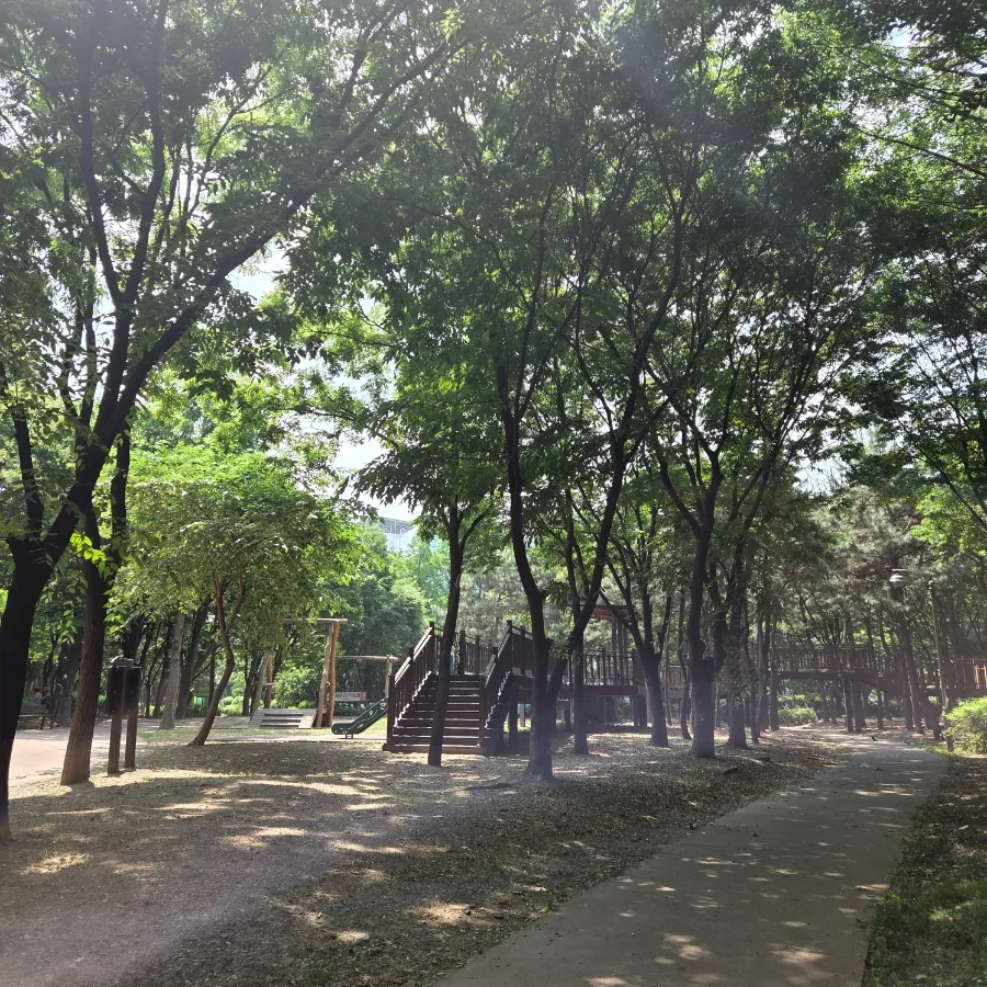 Incheon Gyo Park Forest Experience Area for Young Children photo 11
