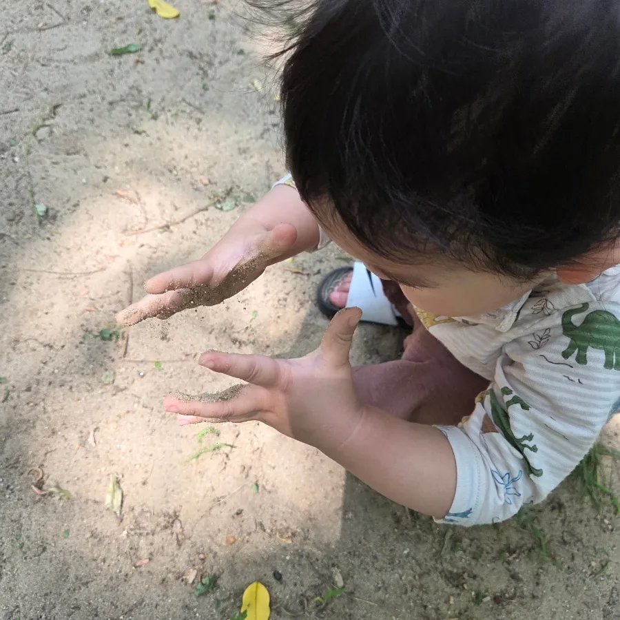 Incheon Gyo Park Forest Experience Area for Young Children photo 7