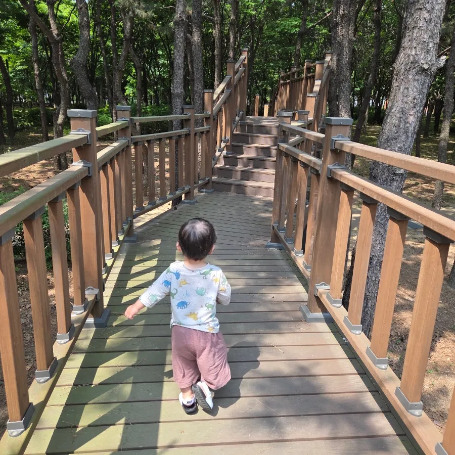 Incheon Gyo Park Forest Experience Area for Young Children photo 10