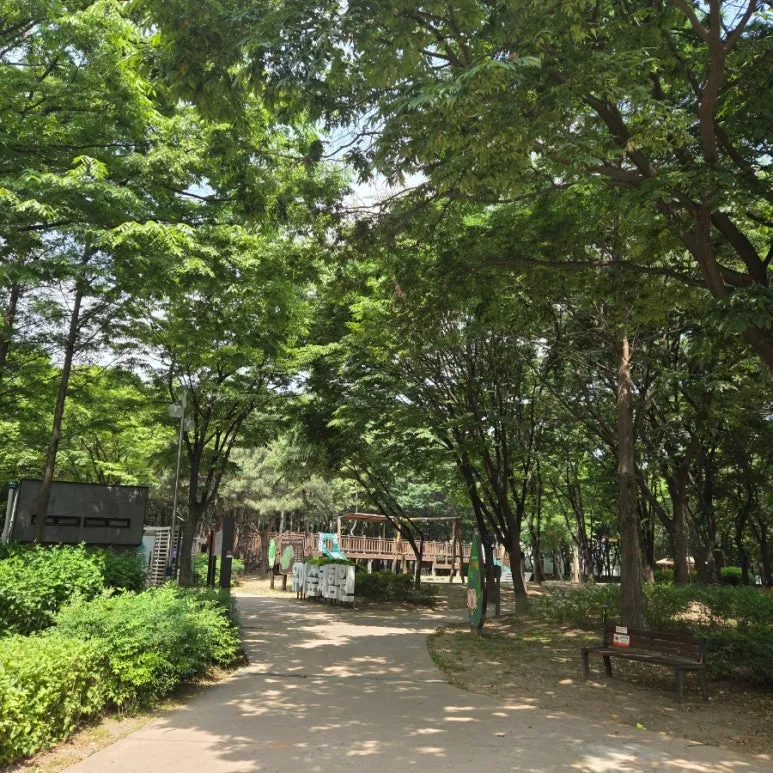 Incheon Gyo Park Forest Experience Area for Young Children photo 12